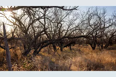 20775 County Road 1445, Paint Rock, TX 76866 - Photo 22