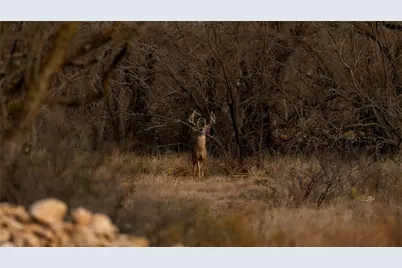 20775 County Road 1445, Paint Rock, TX 76866 - Photo 1