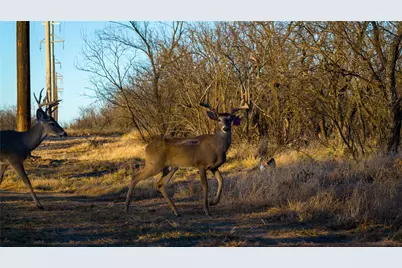 20775 County Road 1445, Paint Rock, TX 76866 - Photo 14