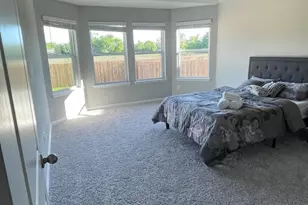 323 Durango Downs Dr, Hutto, TX 78634 - Photo 18