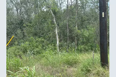 189 Puu Waa Waa Lane, Bastrop, TX 78602 - Photo 4