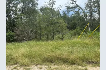 189 Puu Waa Waa Lane, Bastrop, TX 78602 - Photo 2