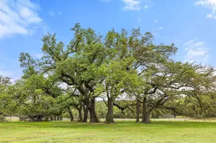 3657 Ranch Rd 3232, Johnson City, TX 78636 - Photo 40