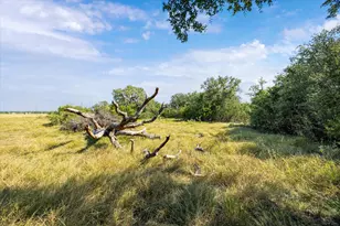 Tbd County Road 243, Bertram, TX 78605 - Photo 12