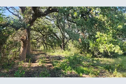 Tbd County Road 243, Bertram, TX 78605 - Photo 26