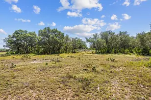 Lot 170 Heartleaf Dr, Lampasas, TX 76550 - Photo 8