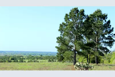 Tbd Crafts Prairie Road, Bastrop, TX 78602 - Photo 30