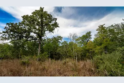 Tbd Cr 405, Buckholts, TX 76518 - Photo 2