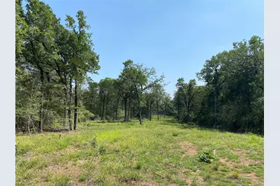 Tbd High Crossing Rd - Tract 8, Smithville, TX 78957 - Photo 2