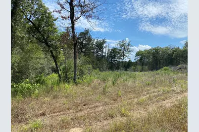 Tbd High Crossing Rd - Tract 8, Smithville, TX 78957 - Photo 6