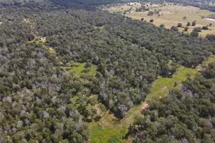 Tbd High Crossing Rd - Tract 8, Smithville, TX 78957 - Photo 1