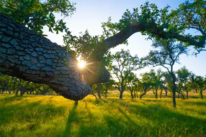 0 Bountiful Oaks Ranch, Johnson City, TX 78636 - Photo 10