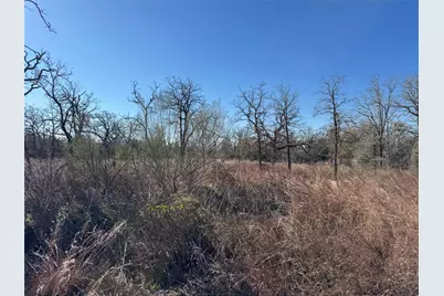 Tbd Marjess Drive, Cedar Creek, TX 78612 - Photo 2