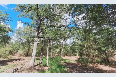 1014 Beaver Lake Drive, Caldwell, TX 77836 - Photo 10