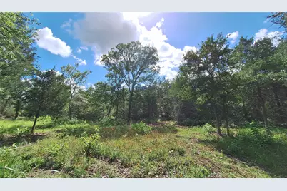 1014 Beaver Lake Drive, Caldwell, TX 77836 - Photo 6