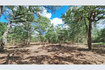 1014 Beaver Lake Drive, Caldwell, TX 77836 - Photo 4