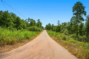 114 Pinedale Dr, Bastrop, TX 78602 - Photo 40
