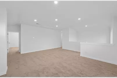 313 Royal Fern Road, Hutto, TX 78634 - Photo 22