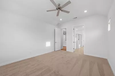 313 Royal Fern Road, Hutto, TX 78634 - Photo 10