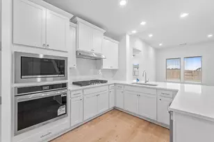 313 Royal Fern Rd, Hutto, TX 78634 - Photo 4