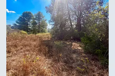 411 Laura Lane, Bastrop, TX 78602 - Photo 6