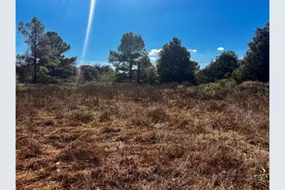 411 Laura Lane, Bastrop, TX 78602 - Photo 4