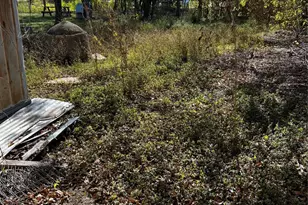 102 E Carrie Manor St, Manor, TX 78653 - Photo 2