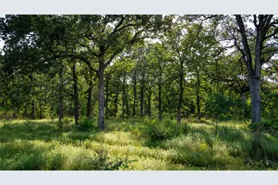 206 Sayers Road, Bastrop, TX 78602 - Photo 6