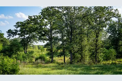 206 Sayers Road, Bastrop, TX 78602 - Photo 10