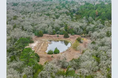 150 Turner Lane, Paige, TX 78659 - Photo 30