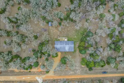 150 Turner Lane, Paige, TX 78659 - Photo 26