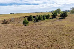 Tbd Fm 532, Hallettsville, TX 77964 - Photo 8