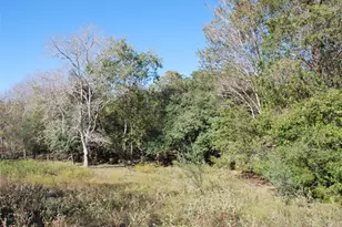 Tbd Fm 532, Hallettsville, TX 77964 - Photo 24