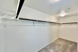 6533 Strelitzia Cove, Round Rock, TX 78665 - Photo 12