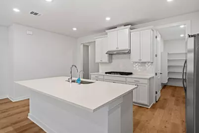 328 Royal Fern Road, Hutto, TX 78634 - Photo 8