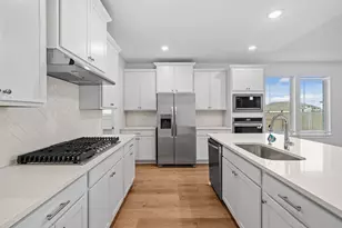 328 Royal Fern Rd, Hutto, TX 78634 - Photo 12