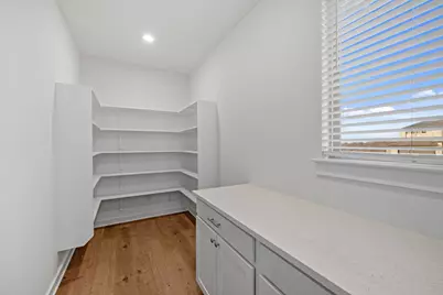 328 Royal Fern Road, Hutto, TX 78634 - Photo 22