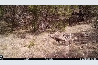 10700 Fm306, New Braunfels, TX 78132 - Photo 28