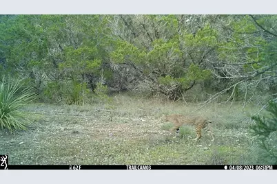 10700 Fm306, New Braunfels, TX 78132 - Photo 26