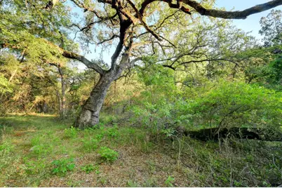 10700 Fm306, New Braunfels, TX 78132 - Photo 16