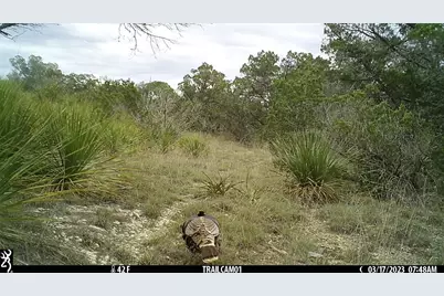 10700 Fm306, New Braunfels, TX 78132 - Photo 24