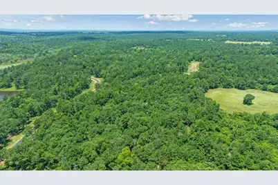 000 Pr 1314, Centerville, TX 75833 - Photo 6