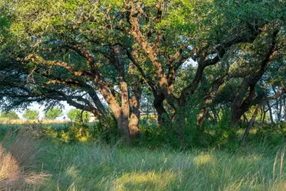 000 Rr #1323, Johnson City, TX 78636 - Photo 30