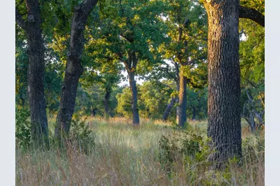 000 Rr #1323, Johnson City, TX 78636 - Photo 32