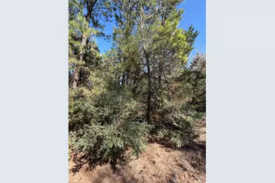 Lot 320 Keneka Lane, Bastrop, TX 78602 - Photo 4