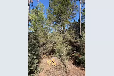 Lot 320 Keneka Lane, Bastrop, TX 78602 - Photo 2