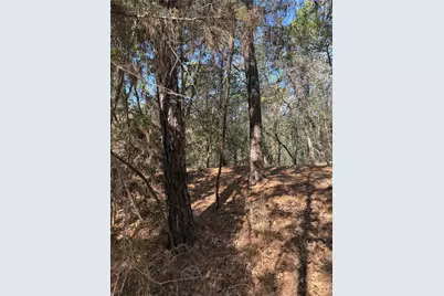 Lot 320 Keneka Lane, Bastrop, TX 78602 - Photo 6