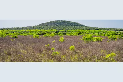 5230 County Road 409, Valley Spring, TX 76885 - Photo 14
