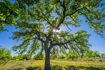 5230 County Road 409, Valley Spring, TX 76885 - Photo 6