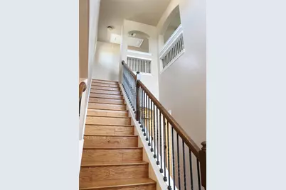 8213 Reggio Street, Round Rock, TX 78665 - Photo 12